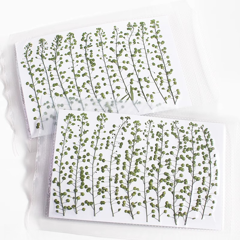 Colore naturale Campana verde  - Resin Craft Ideas recensione e prezzo