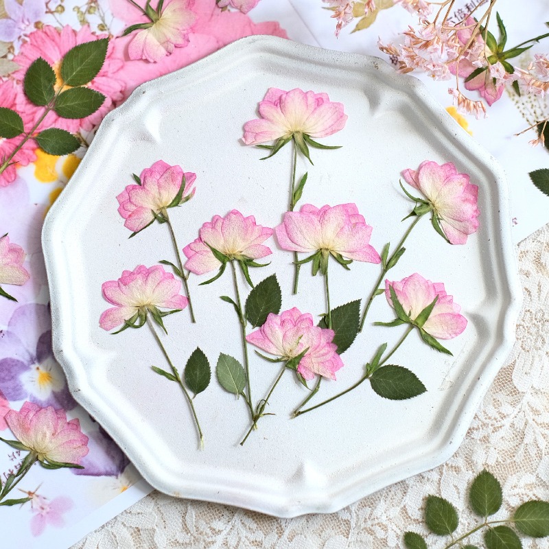 12 pezzi, Fiori Pressati Essic - Resin Craft Ideas recensione e prezzo