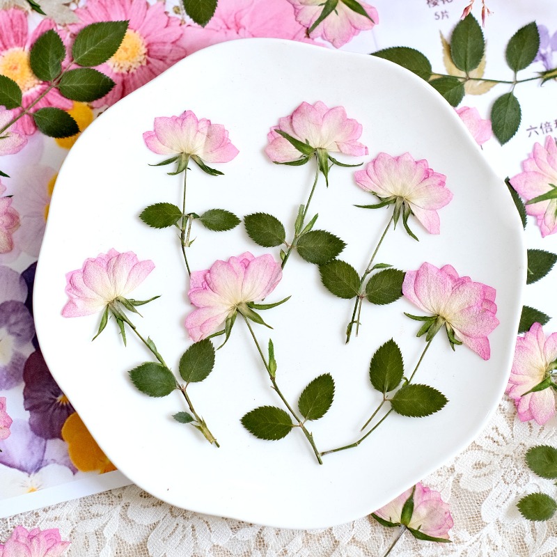 12 pezzi, Fiori Pressati Essic - Resin Craft Ideas recensione e prezzo